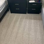 carpet cleaning