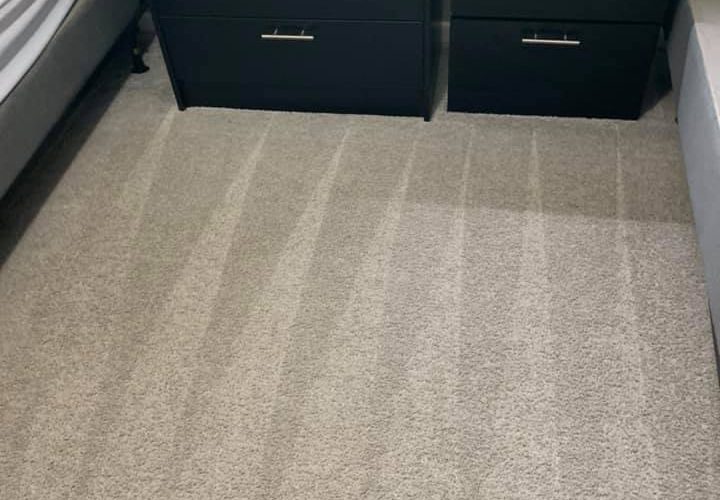 carpet cleaning